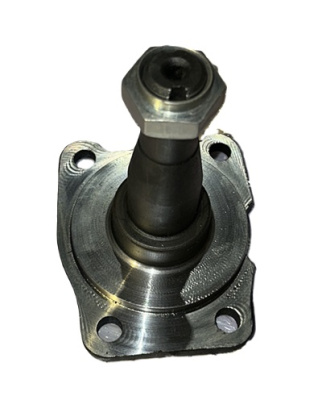 Цапфа Соболь, Баргузин голая