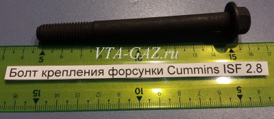 Болт крепления форсунки Газель, Соболь Бизнес, Газель Next дв. 2.8 Cummins