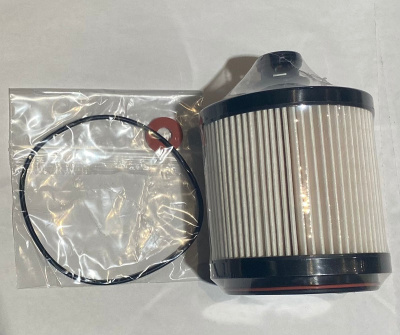 Фильтр топлива (элемент) Газель Next дв. G-21 2,5л (ФТО) завод