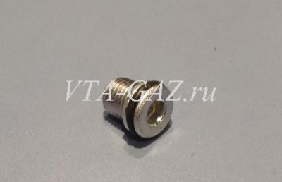 Пробка поддона Газель, Соболь Бизнес, Газель Next дв. А274, A275 Evotech (Болт сливной)