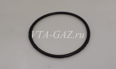 Прокладка (кольцо) погружного бензонасоса