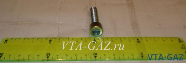 Болт крепления подшипника ступицы Газель Next (Винт М10х4)